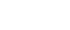 Formula 1 car