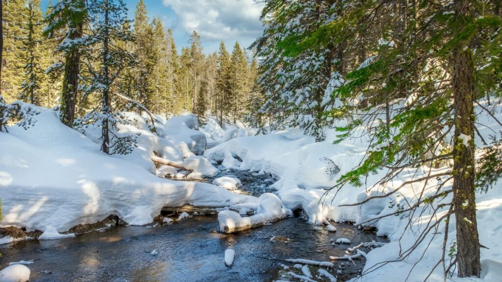 Ubigi blog winter christmas destinations yellowstone usa