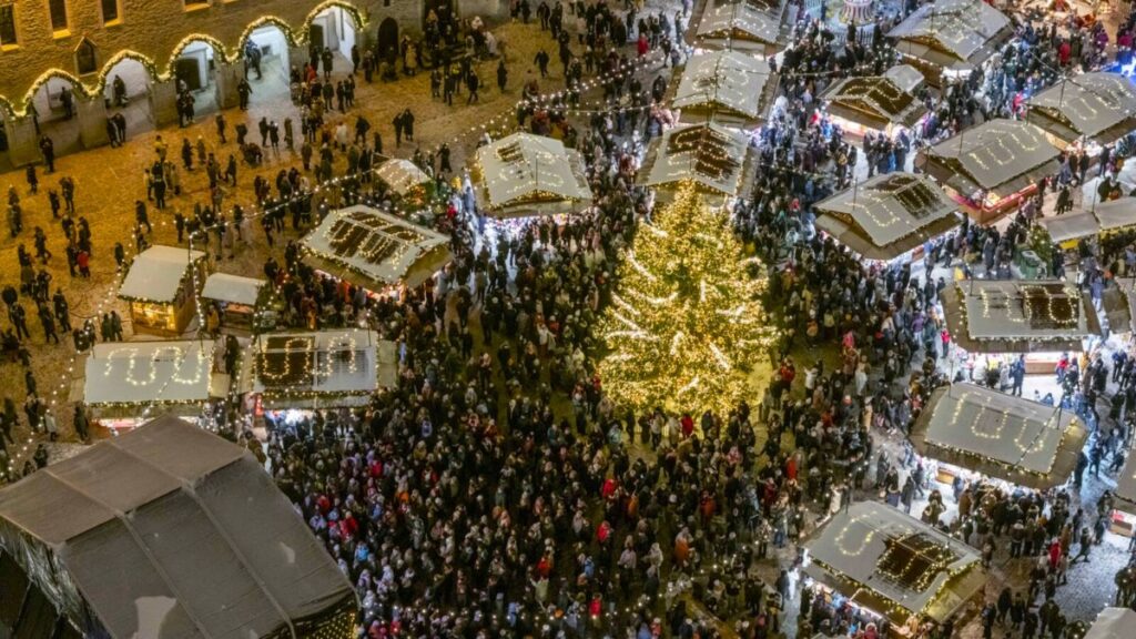 tallinn christmas market estonia christmas tree