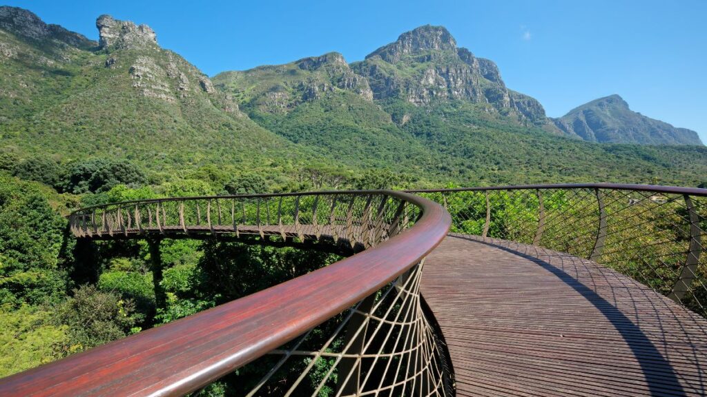 Cape towwn south africa kirstenbosch gardens