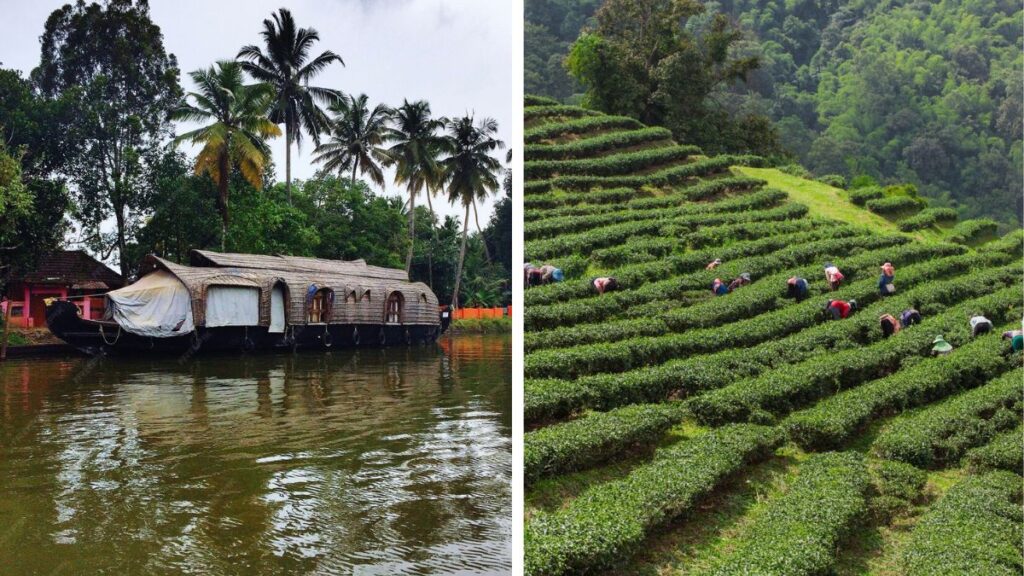 Visit Allepey Backwaters and Munnar Tea Fields