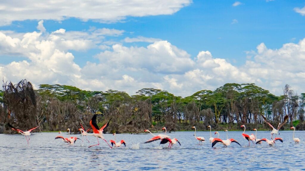 Explore Lake Naivasha & Hell's Gate