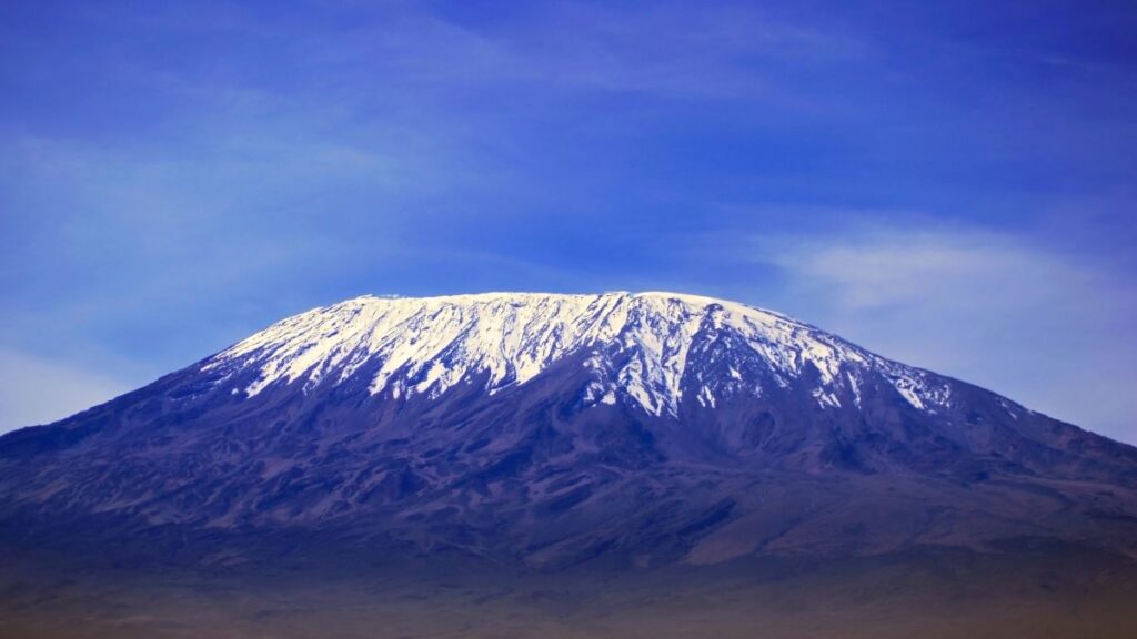 Capture Mount Kilimanjaro Views