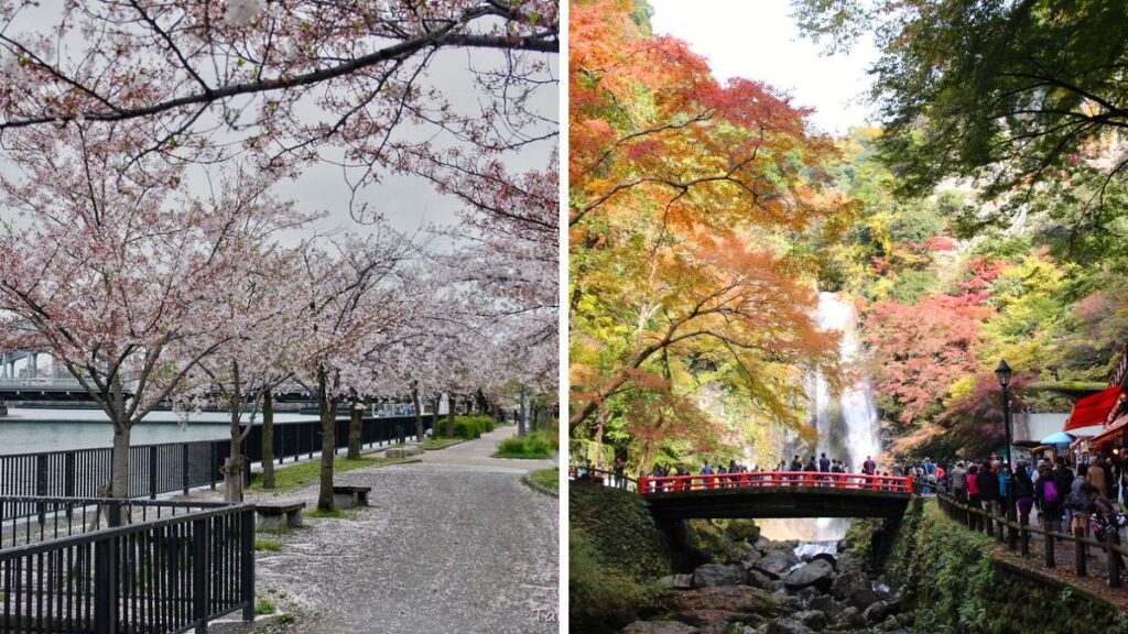 Best Seasons to Visit Osaka for Scenery