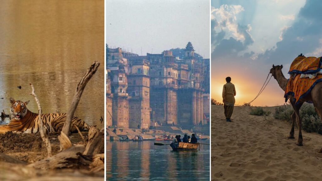 Explorez le parc national de Ranthambore, le Gange et le désert du Thar