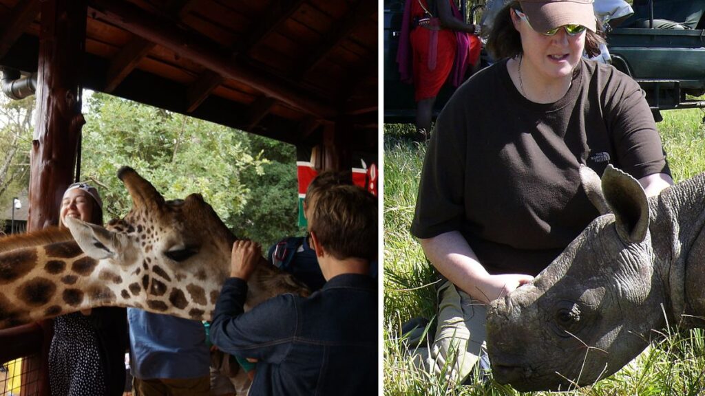 Explore Giraffe centres and Orphaned Rhinos