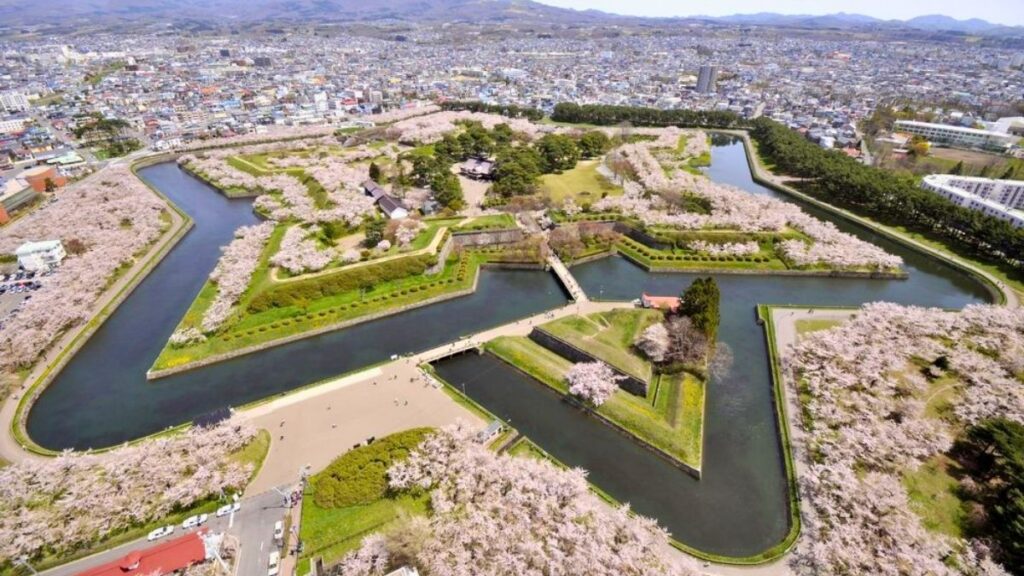 Goryokaku Park during Sakura season