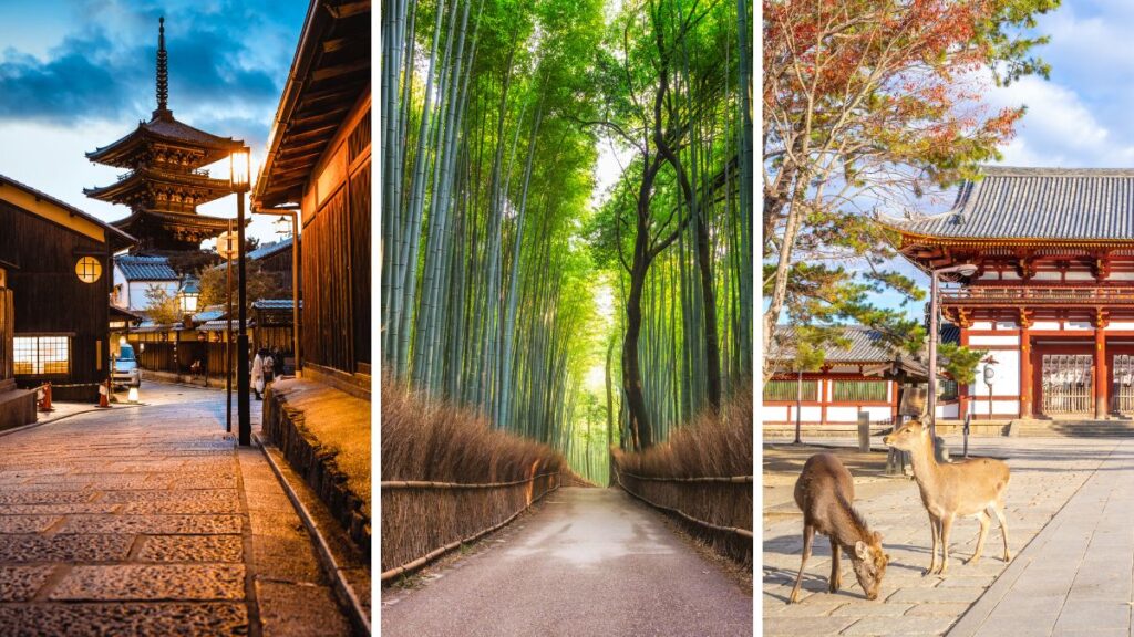 Ensure to visit the must see sites in Osaka