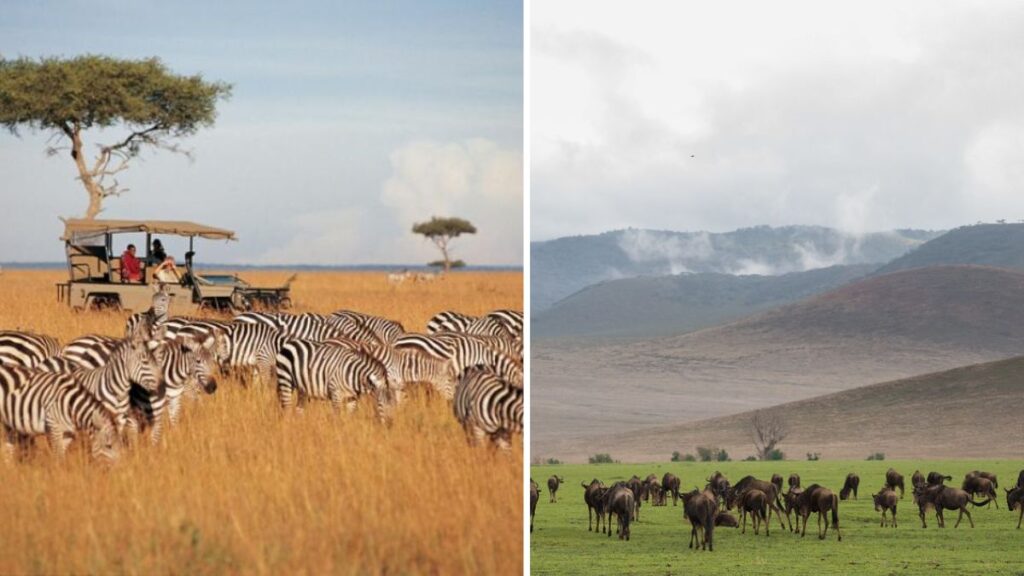 Discover Natural wonders