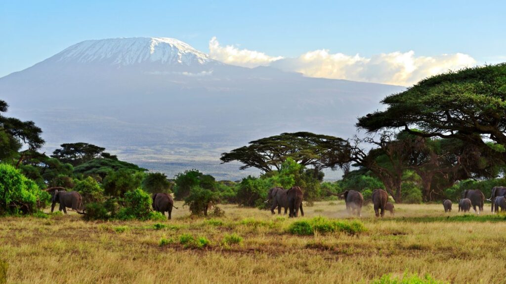 Plan your safari in Kenya at Amboseli National Park