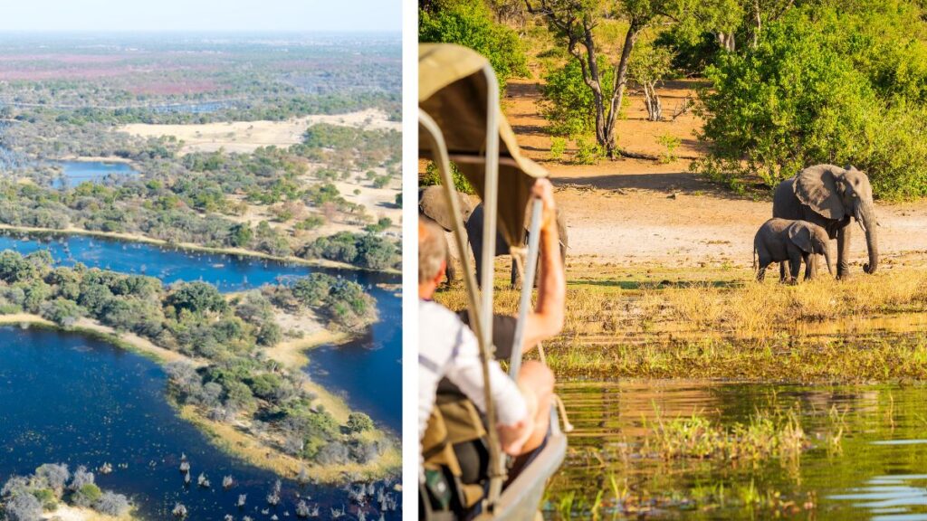 Plan you safari in Botswana at Chobe National Park to see elephants