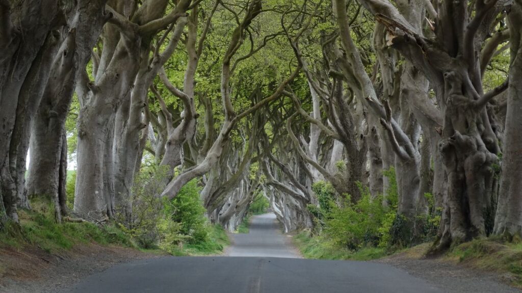 Besuchen Sie Irland: Die ultimative Reiseroute