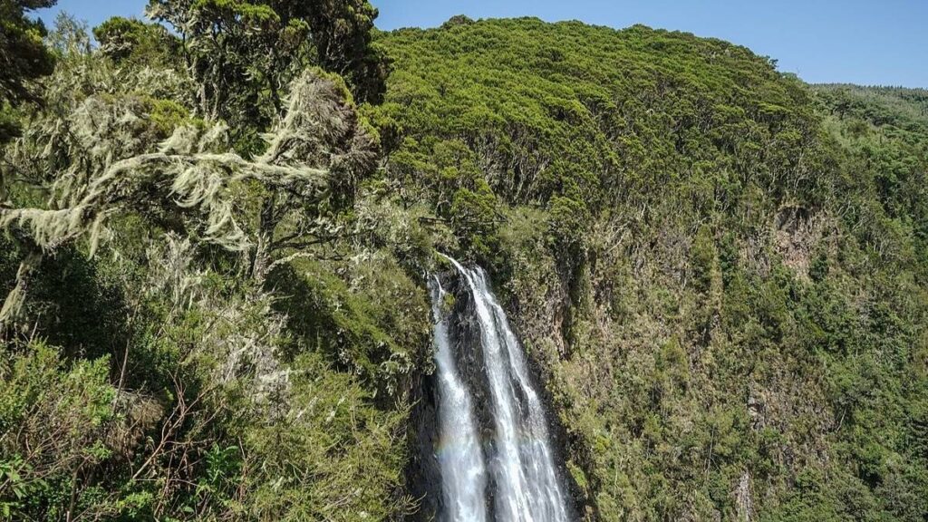 Le parc national d'Aberdare, une destination emblématique et un joyau pittoresque du Kenya