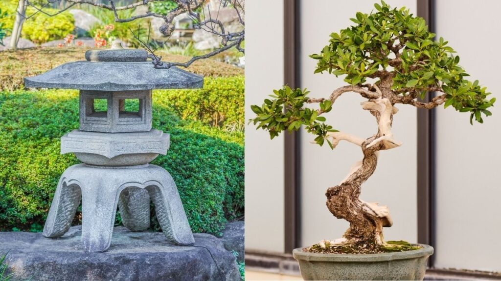 Buy other timeless gifts as a bonsai tree or stone lantern