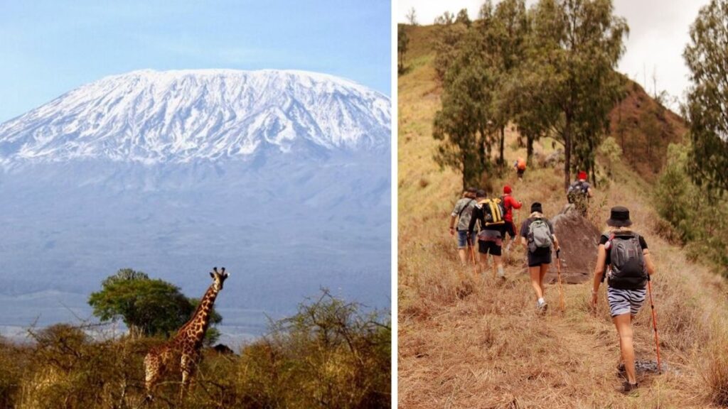 Découvrez la destination emblématique du Kenya, le mont Kenya, et ses sentiers de randonnée.