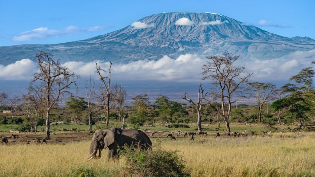 Explorez le parc national d'Amboseli, l'une des destinations emblématiques du Kenya.