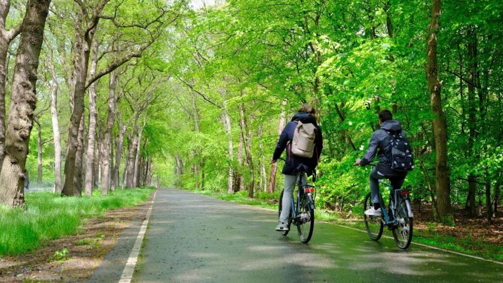 美しいフォンデル公園でサイクリング
