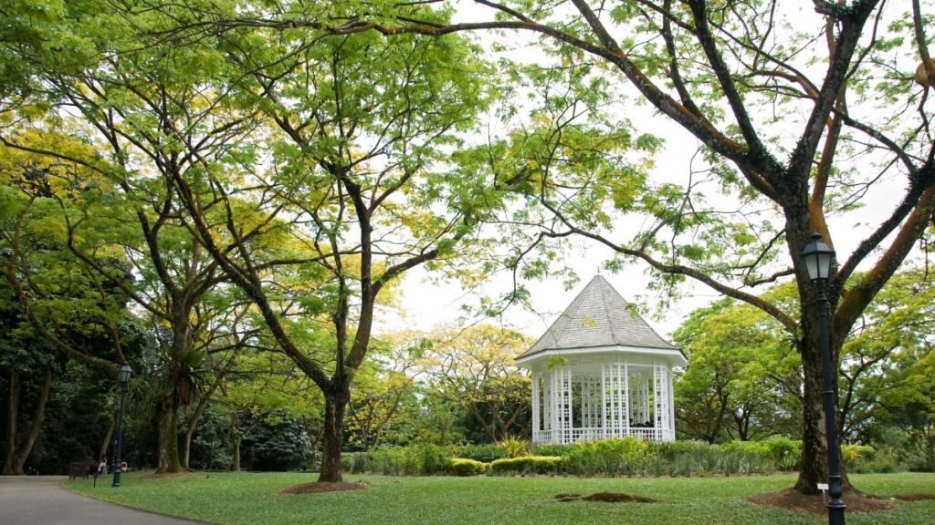 Botanic Gardens and Fort Canning Park are perfect weekend getaway in Singapore