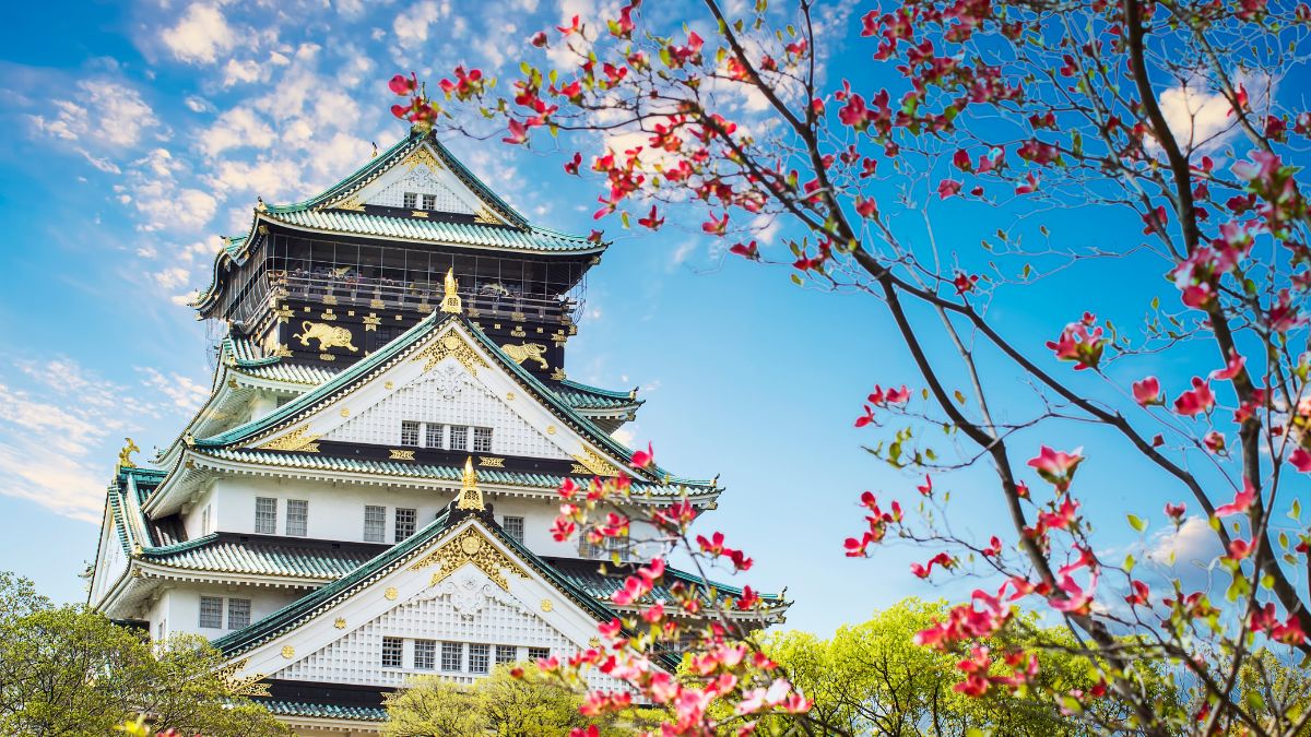 10 Essential Japan Travel Tips from Reddit: The Greatest Insights for Your Osaka Adventure
