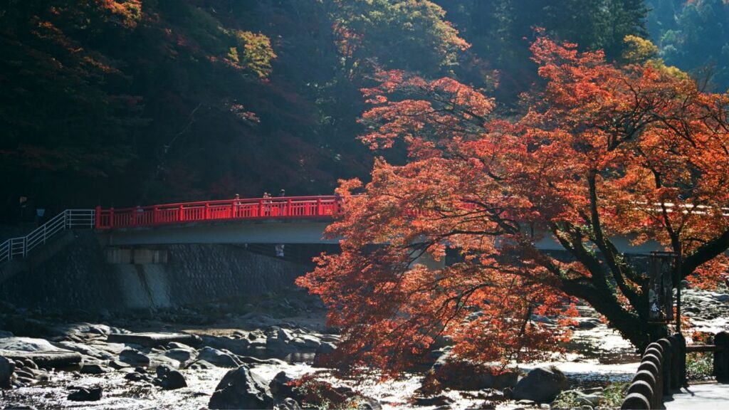Automne au Japon : 10 lieux magiques- Les gorges de Kōrankei