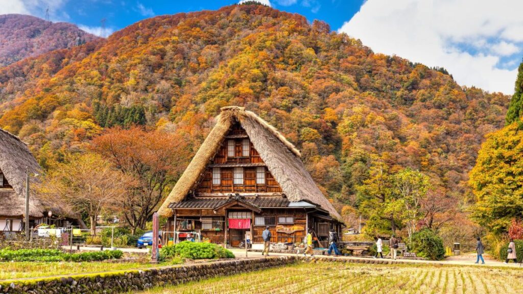 La route alpine de Tateyama Kurobe en automne au Japon