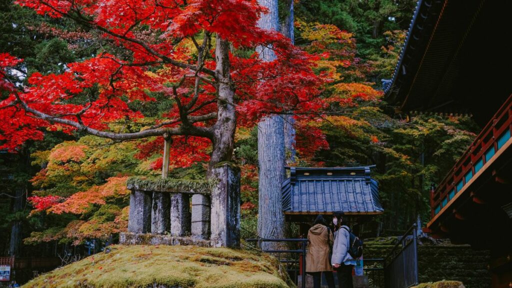 Automne au Japon : 10 lieux magiques - Nikkō & Irohazaka