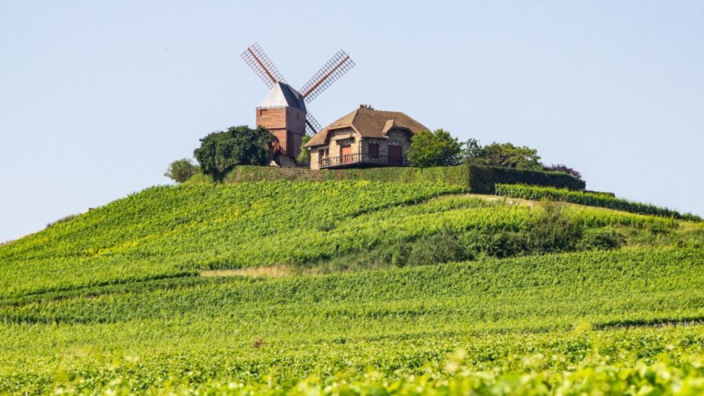 Champagne is a picturesque weekend getaway in Paris