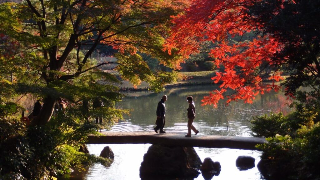 Le jardin de Rikugien est l'un des meilleurs endroits pour admirer les feuilles d'automne au Japon.