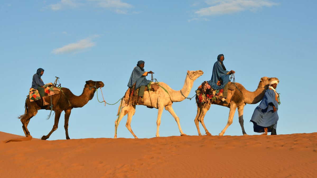 Best Times to Visit Morocco