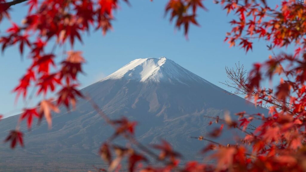 Autumn food specialities in Japan