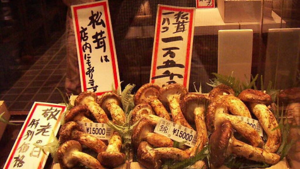 Matsutake Mushrooms are the sign of autumn in Japan