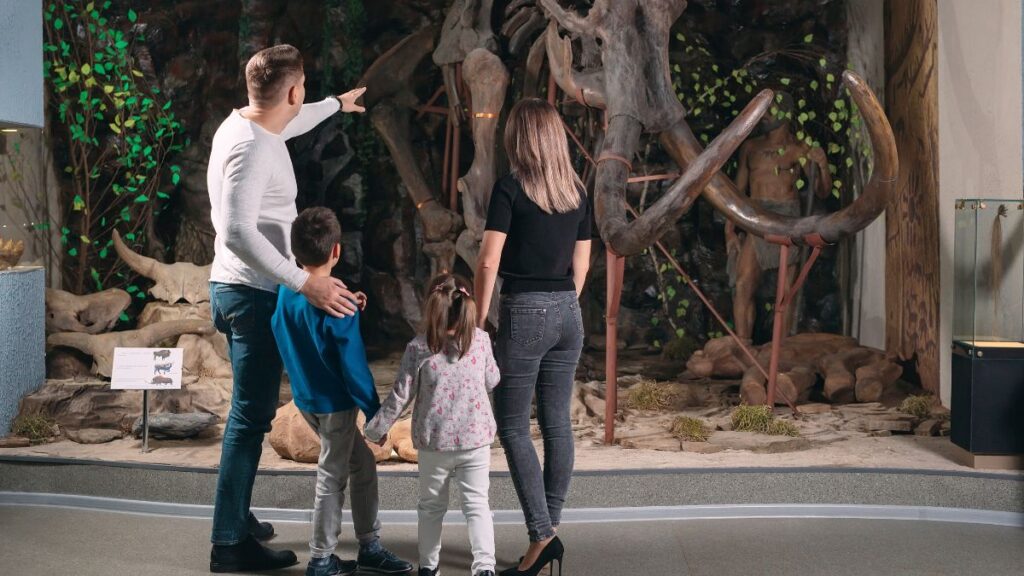 家族向けオプション