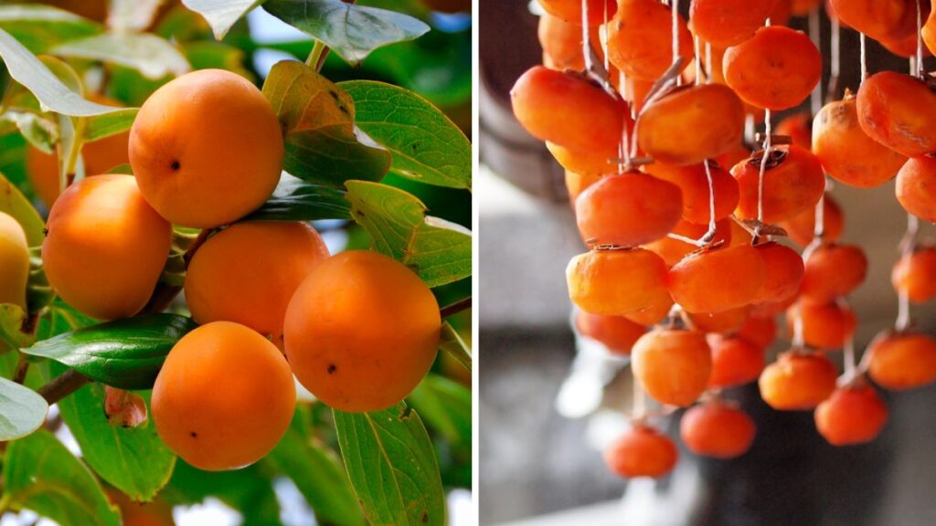 Kaki and hoshigaki are a must try japan autumn specialties