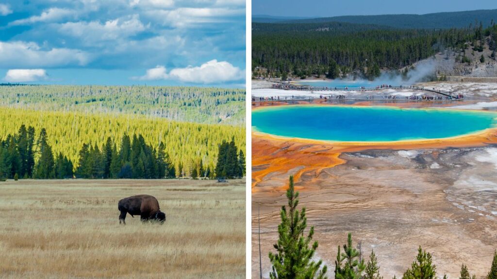 10 meilleurs endroits à visiter aux États-Unis en décembre - Parc national de Yellowstone, Wyoming