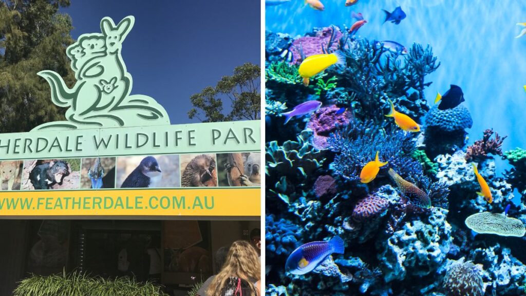 ペキン・エクスプレスのジェイドと行くオーストラリア・トラベル・プラン - フェザーデール・シドニー・ワイルドライフ・パーク & ワイルドライフ水族館