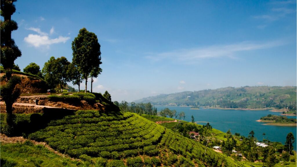 Cheapest Places in Asia to Visit - Sri Lanka