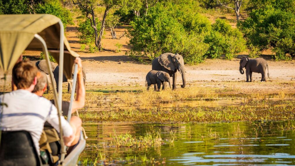 Safest Places in Africa to visit - Botswana