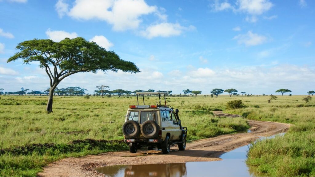 Safest Places in Africa to visit - Tanzania