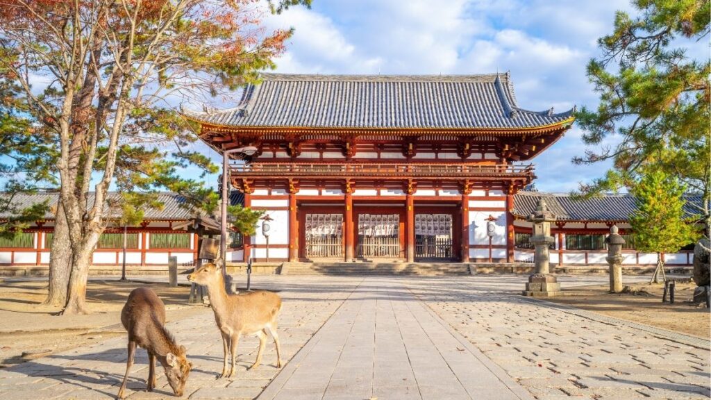 Seu roteiro de viagem ao Japão em 10 dias — Organize sua viagem ao Japão com o Ubigi eSIM