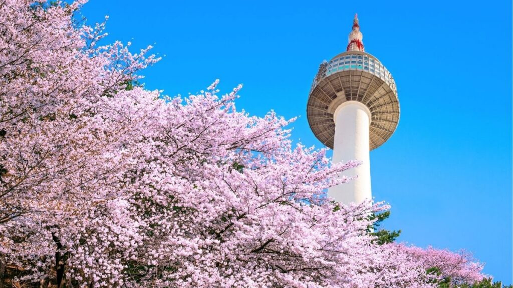 Wo kann man in Südkorea Kirschblüten sehen - Seoul für Stadtansichten