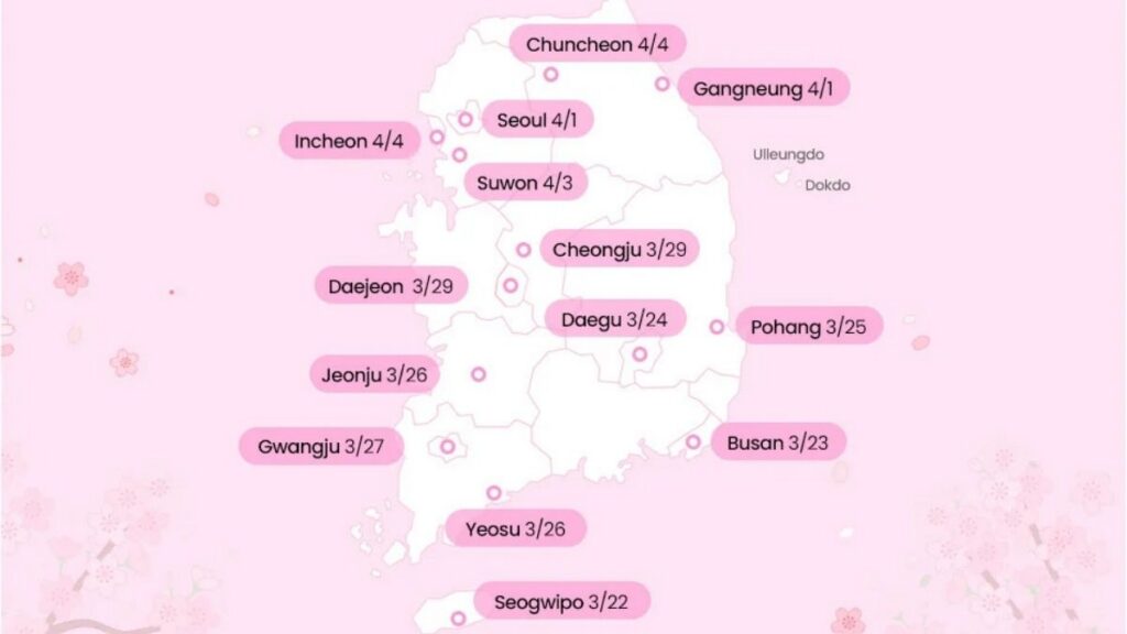 Wo kann man in Südkorea Kirschblüten sehen - Blooming Forecast