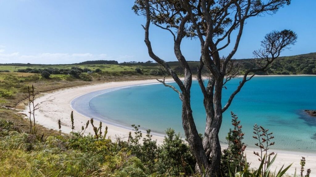 Stunning Landscapes to Explore in New Zealand - Maitai Bay