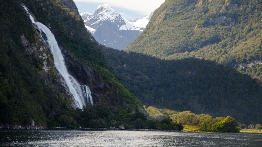 Stunning Landscapes to Explore in New Zealand - Fjords