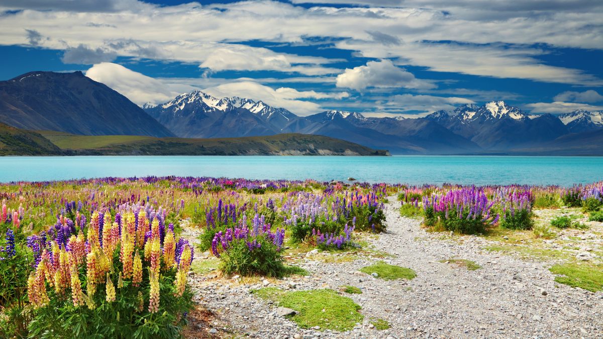 Ubigi blog Stunning landscapes to explore in new zealand