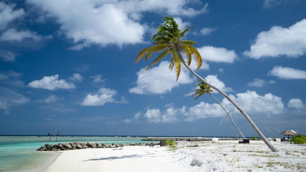 Best Time to Visit Aruba - Climate Overview