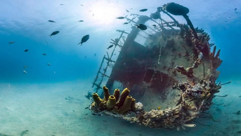 Discover the best spots to do diving and snorkeling in Aruba