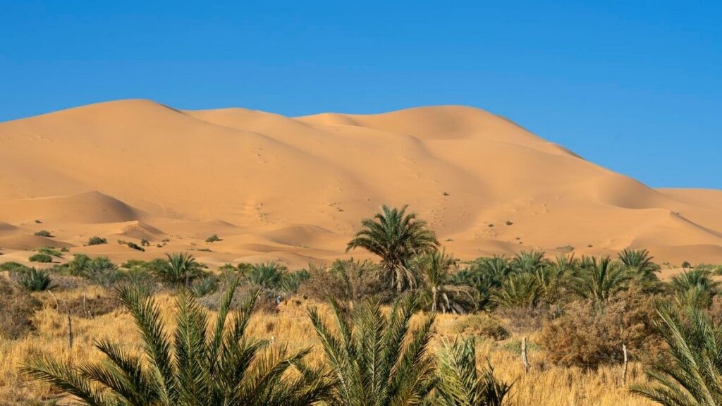 Makkah Saudi Arabia Weather - By Season