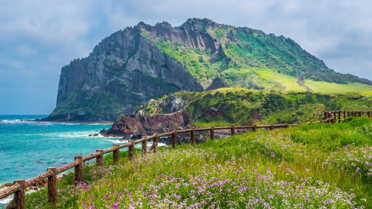 Ubigi Travel blog: Travel Guide to Jeju Island