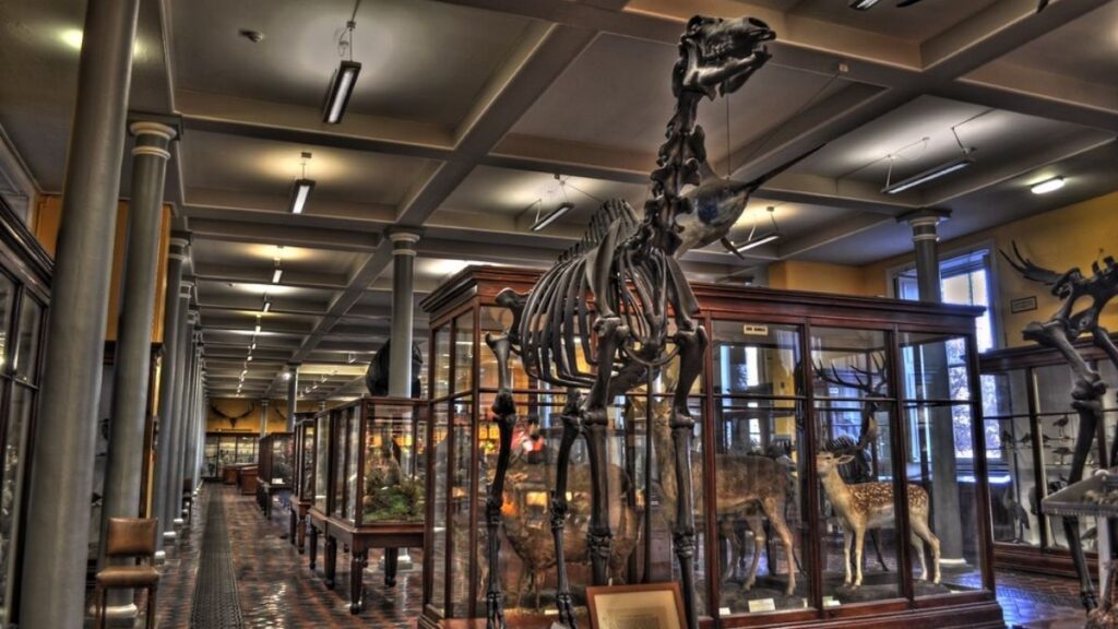 Beste Reisezeit für Irland - Nebensaison