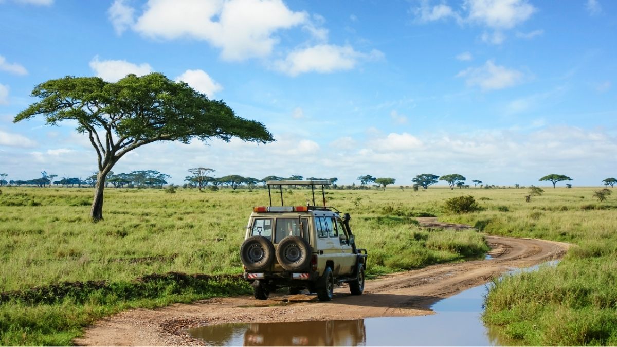 Ubigi Travel blog: Serengeti Plains in Tanzania